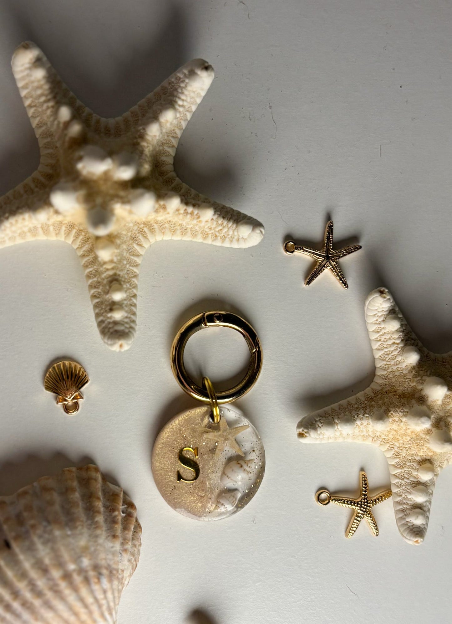 Seashell Shimmer