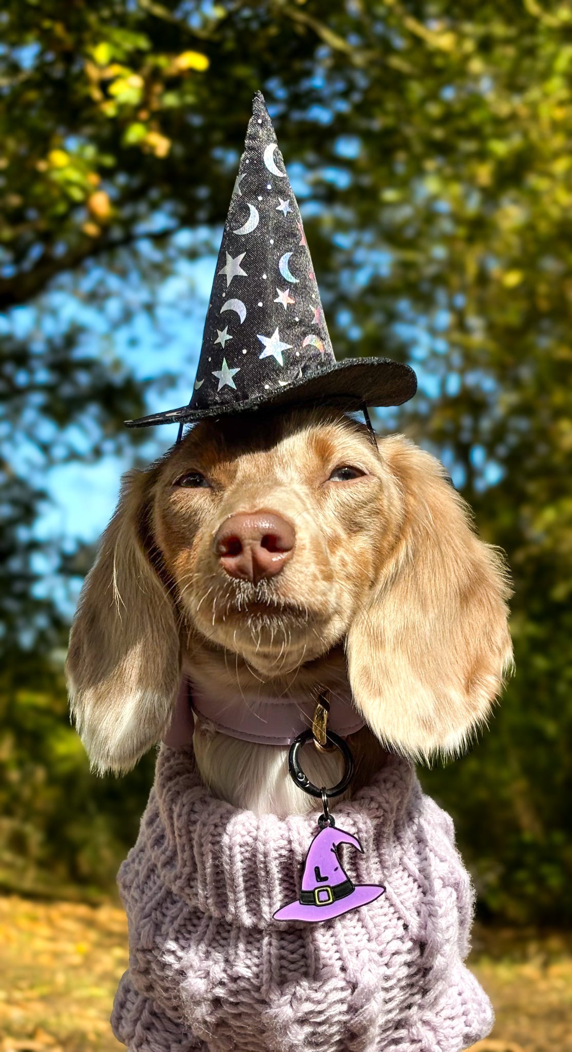 Hat Of Spells
