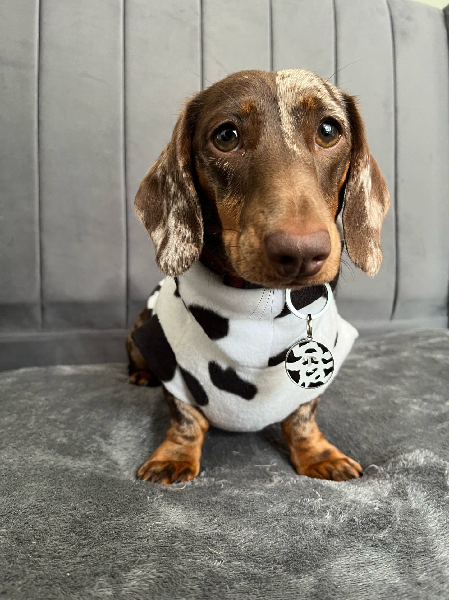 Udderly Pawfect (Resin Tag)