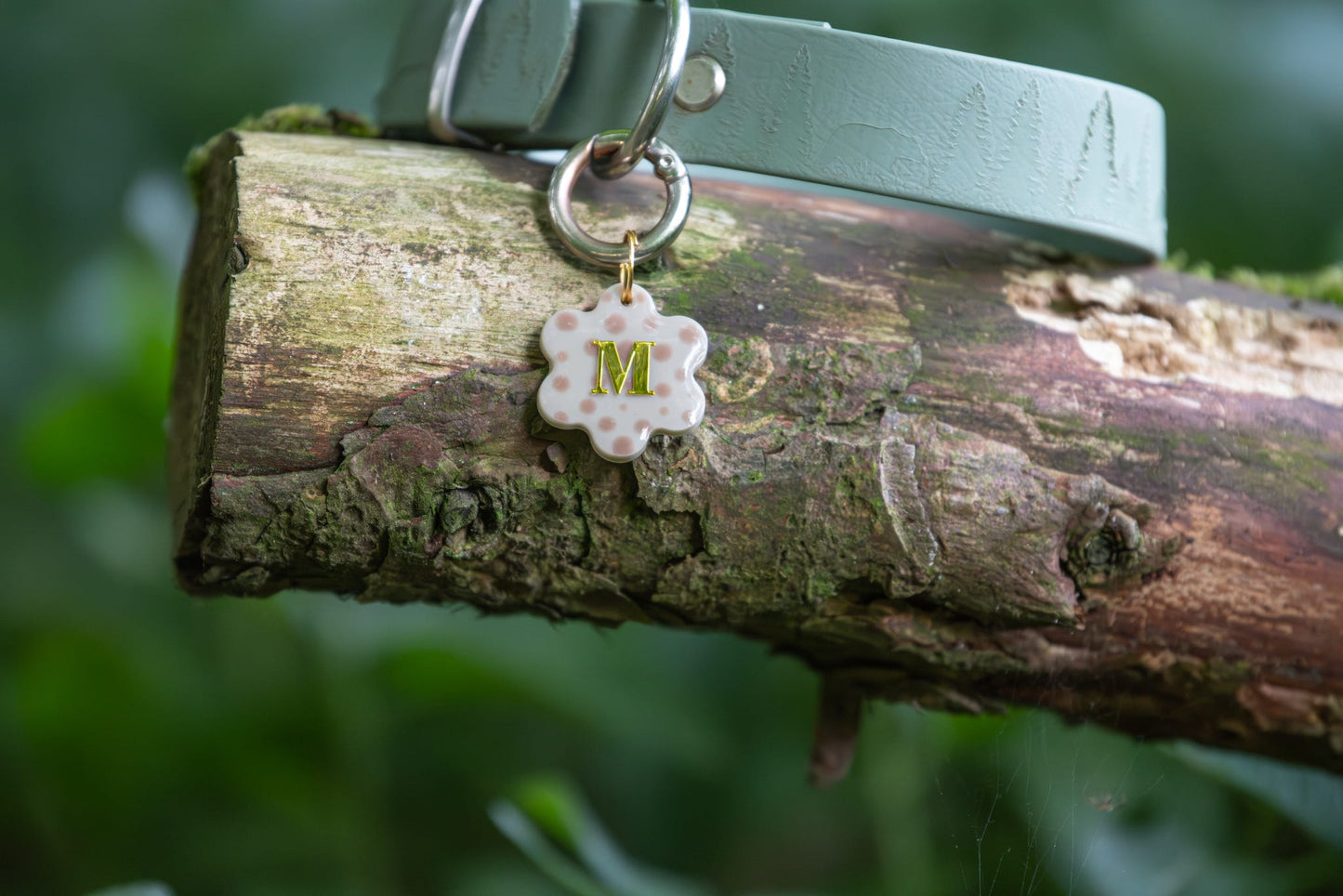 Dotty Bloom