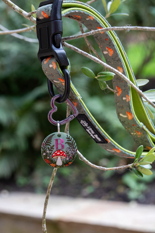 Woodland Walk - Little Bears Boutique Collab