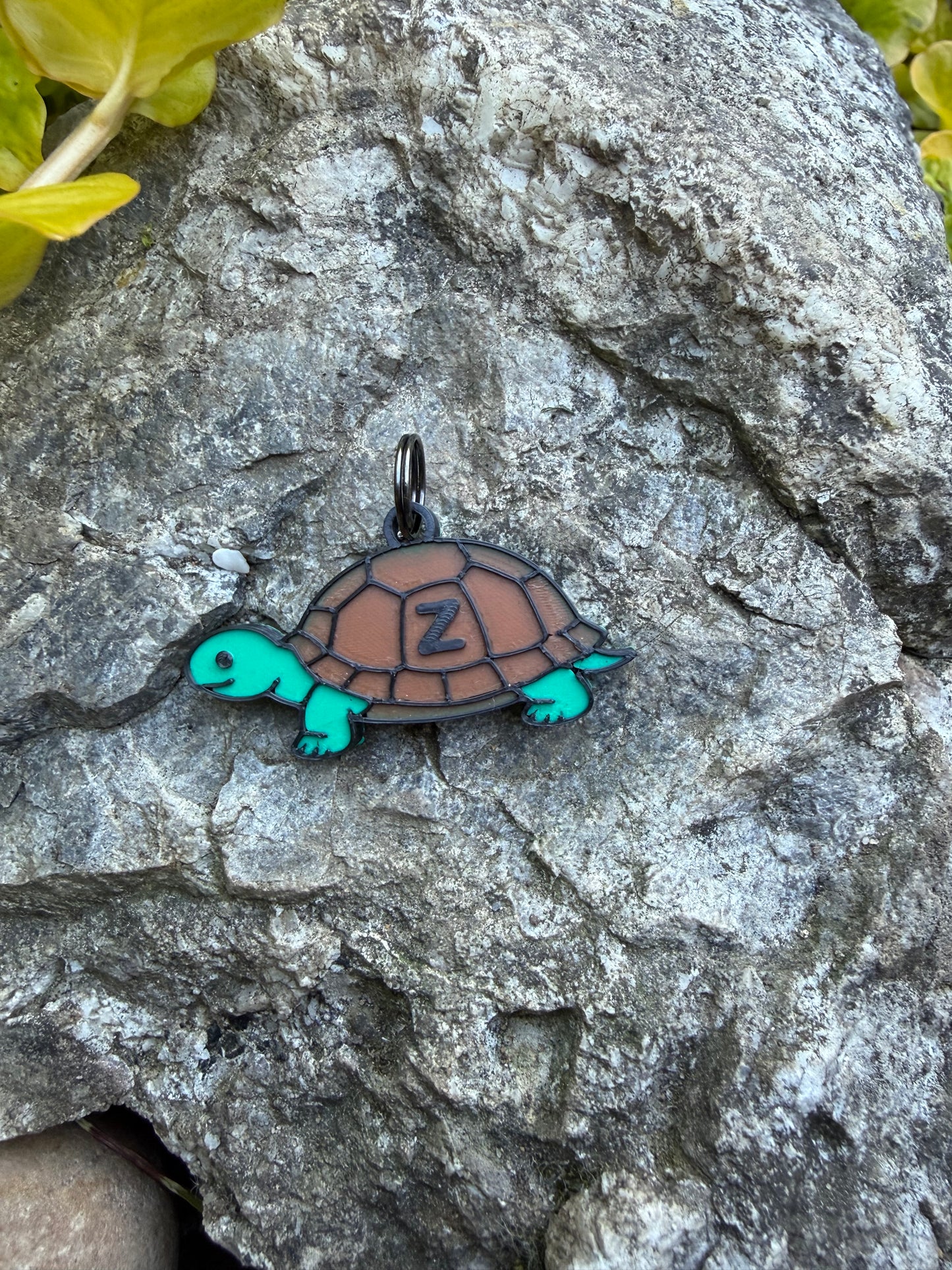 Turtle