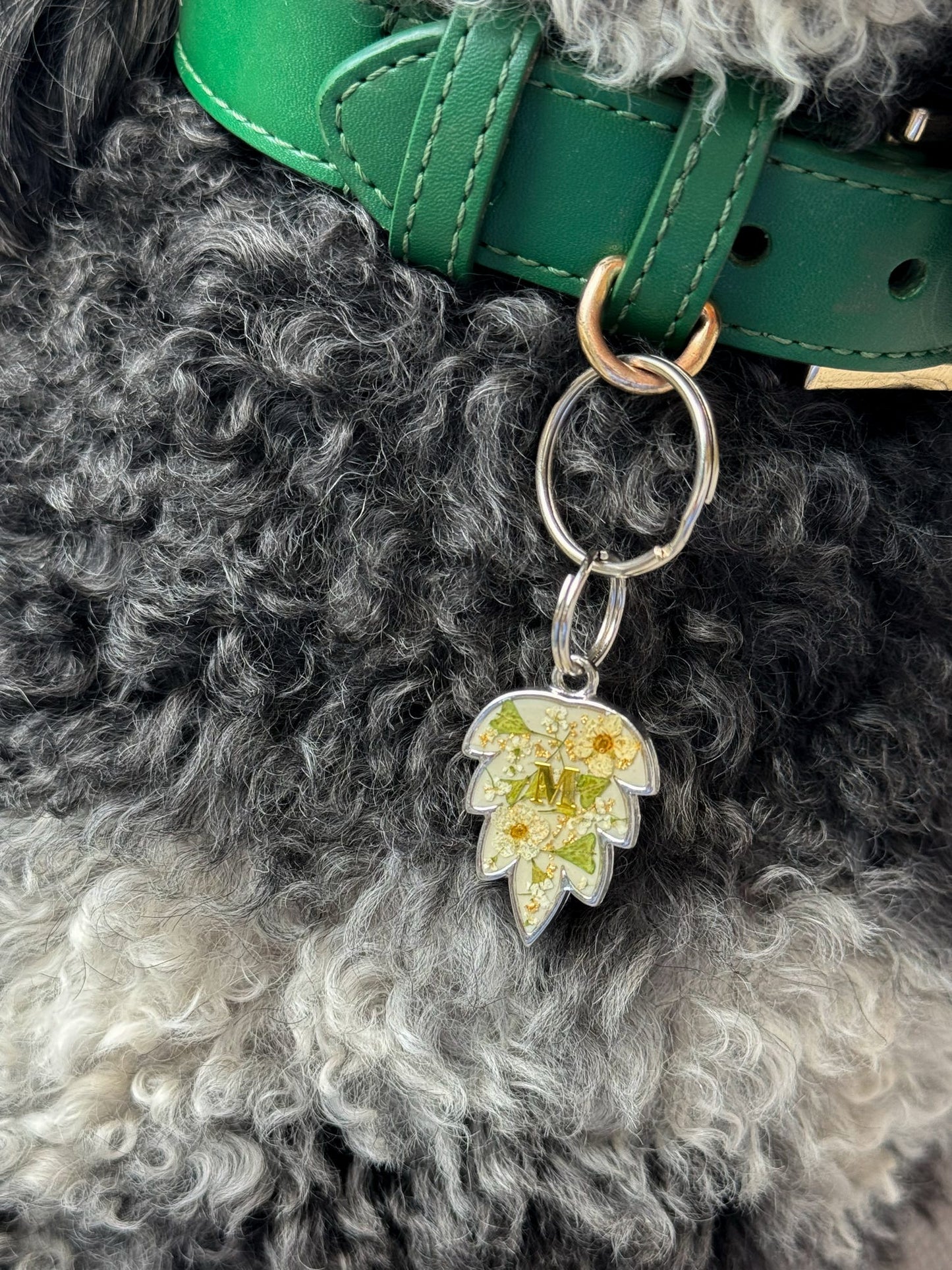 Nature’s Keepsake