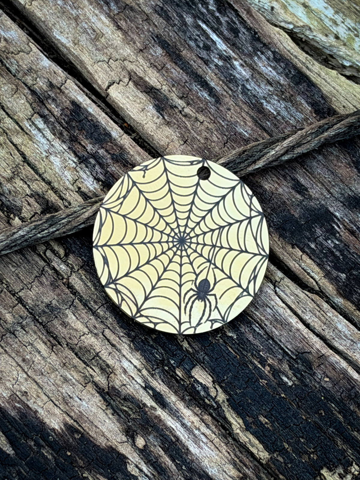Web Of Secrets