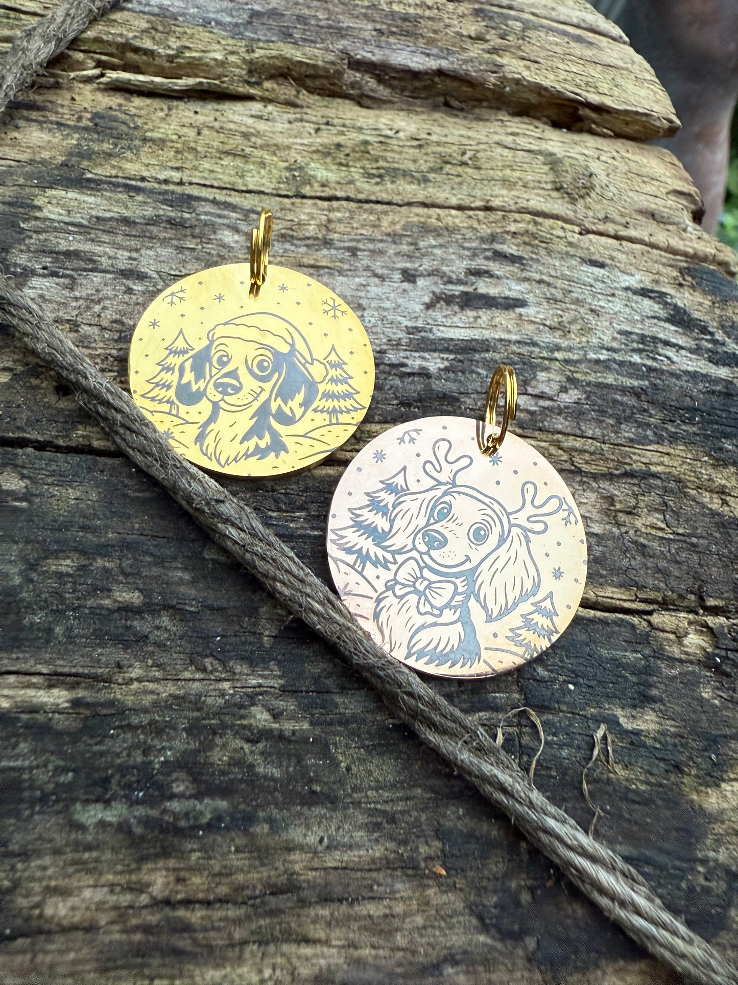 Pawfect Pawtrait - Custom Portrait Tag