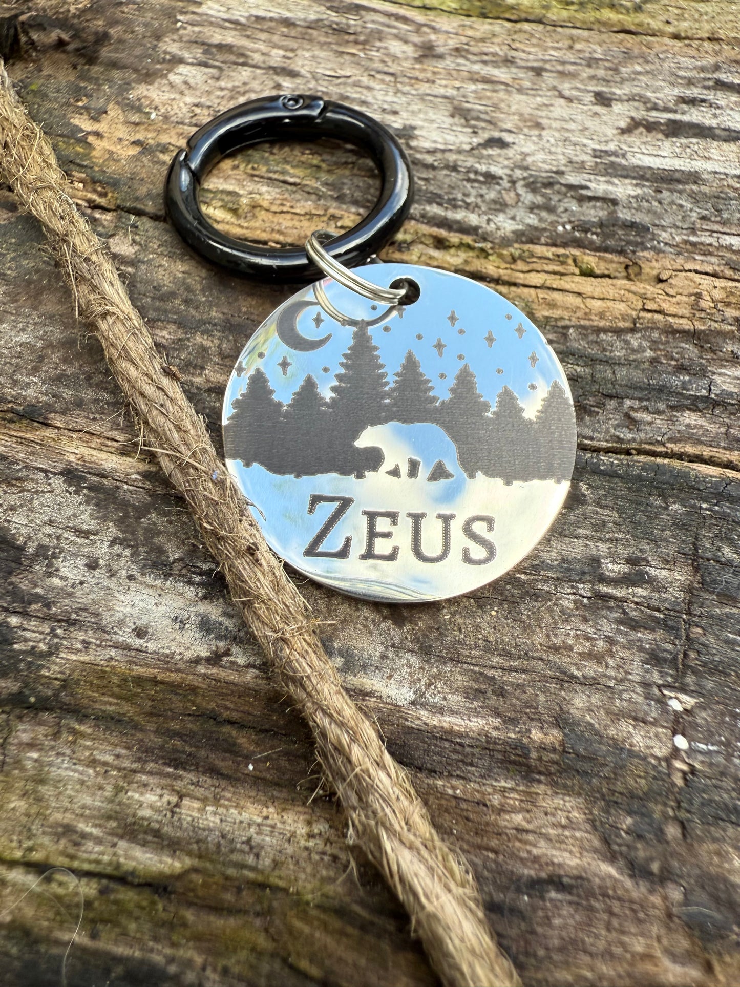Bear Trails