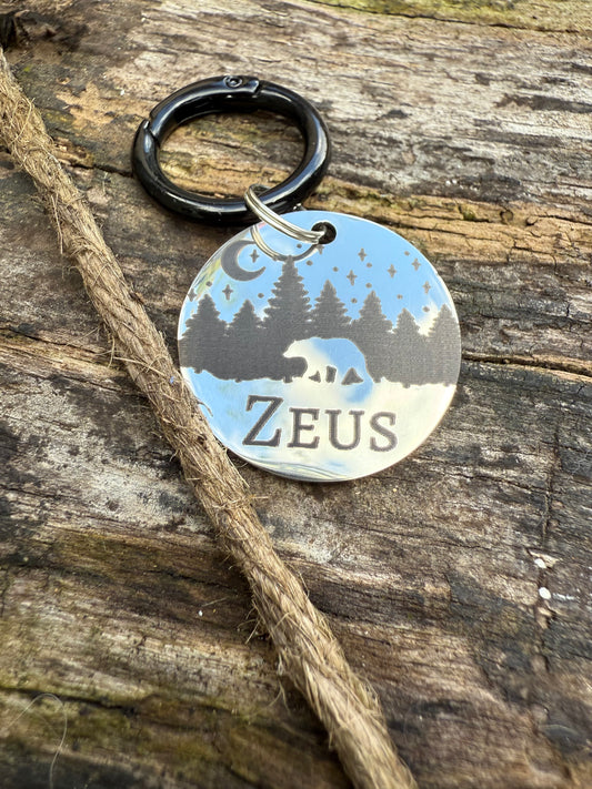 Bear Trails
