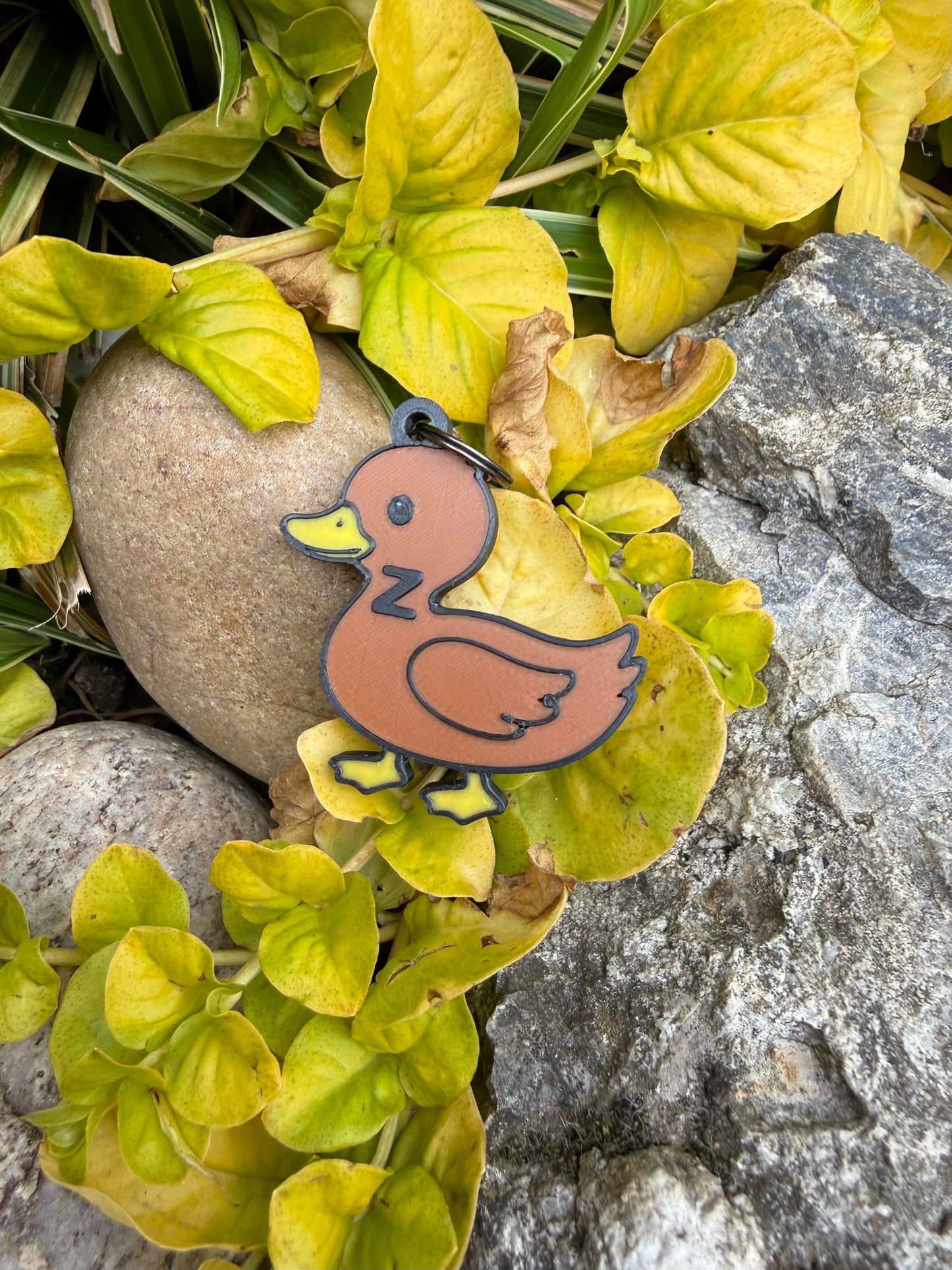 Duck
