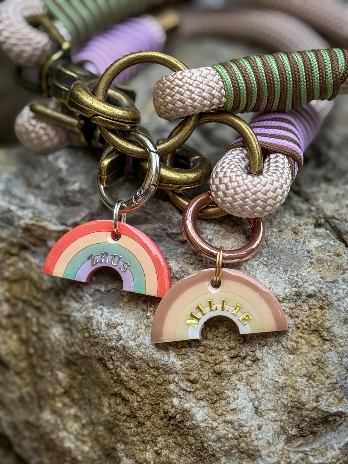 Rainbow Dream