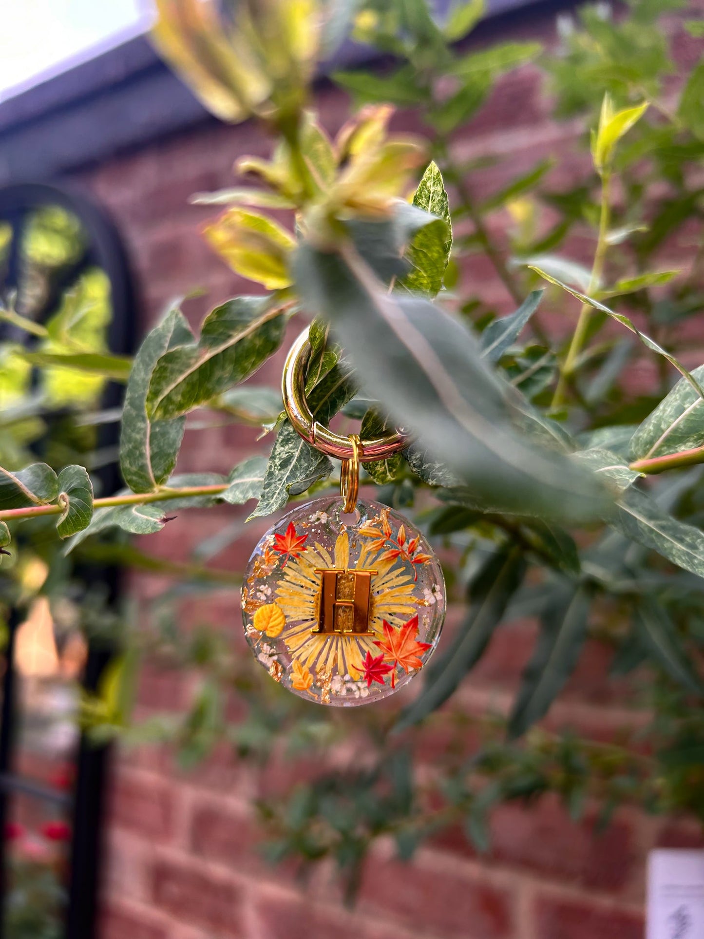 Harvest Blooms