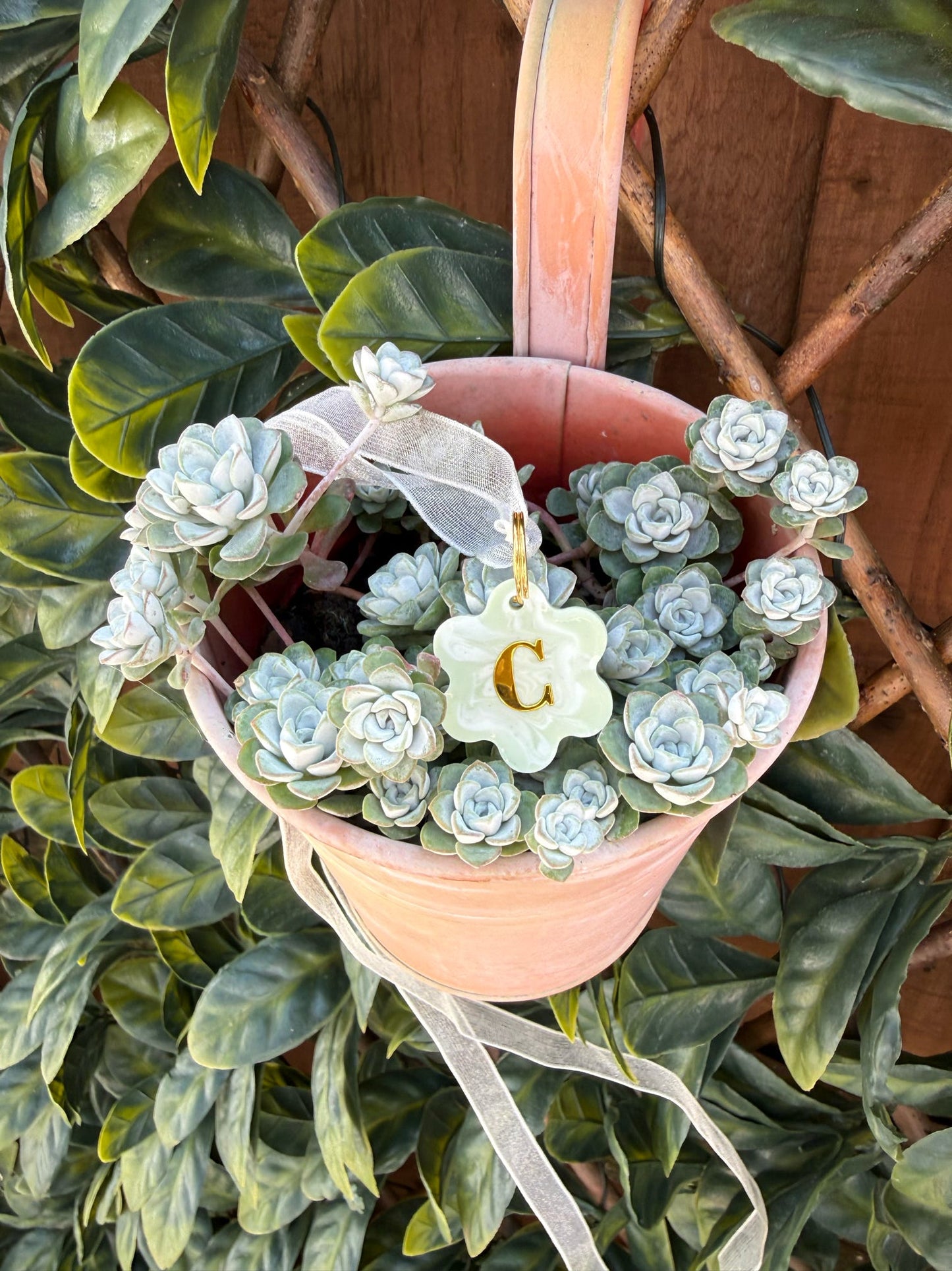 Mini Flower Swirls