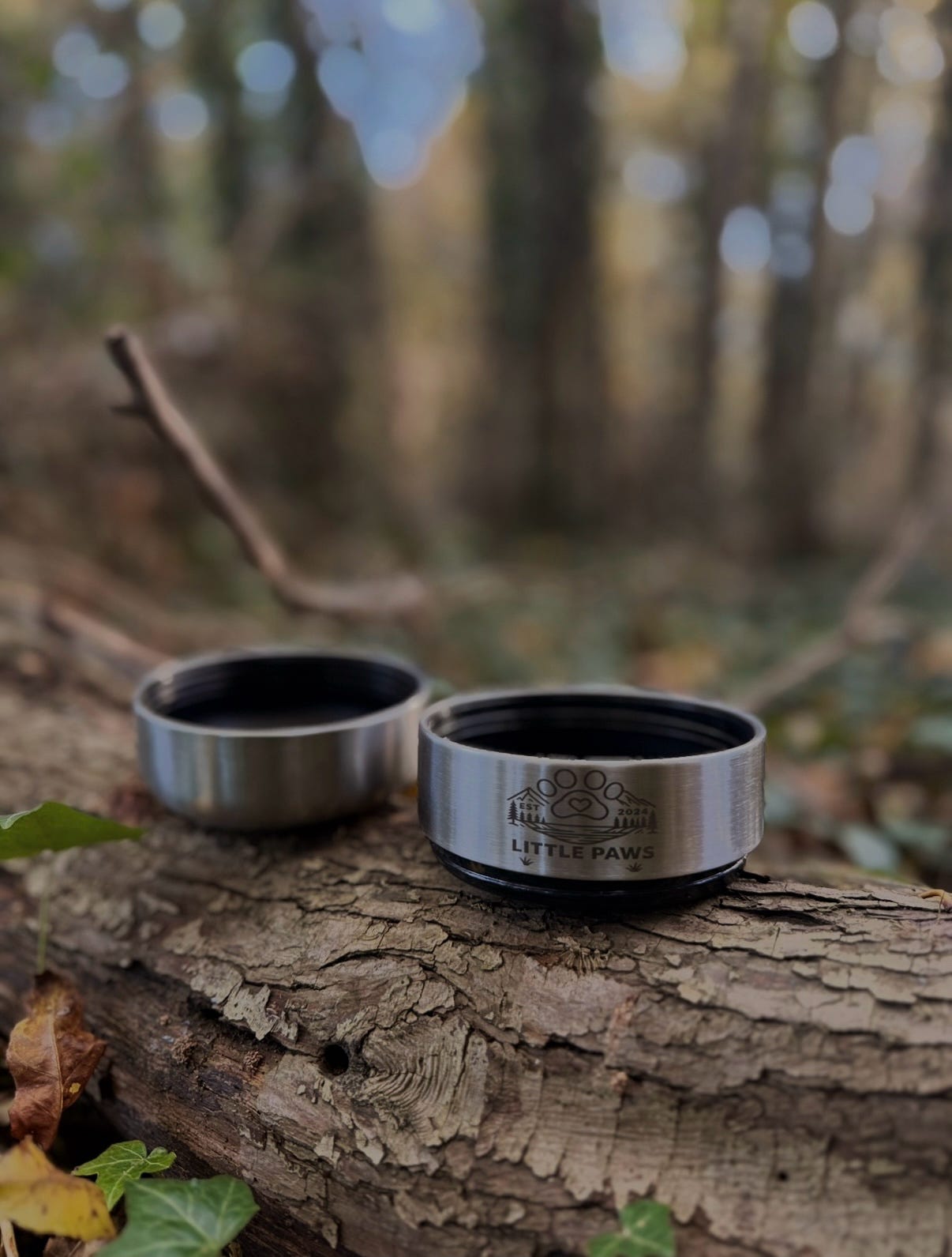 Adventure Awaits 3 in 1 Bottle