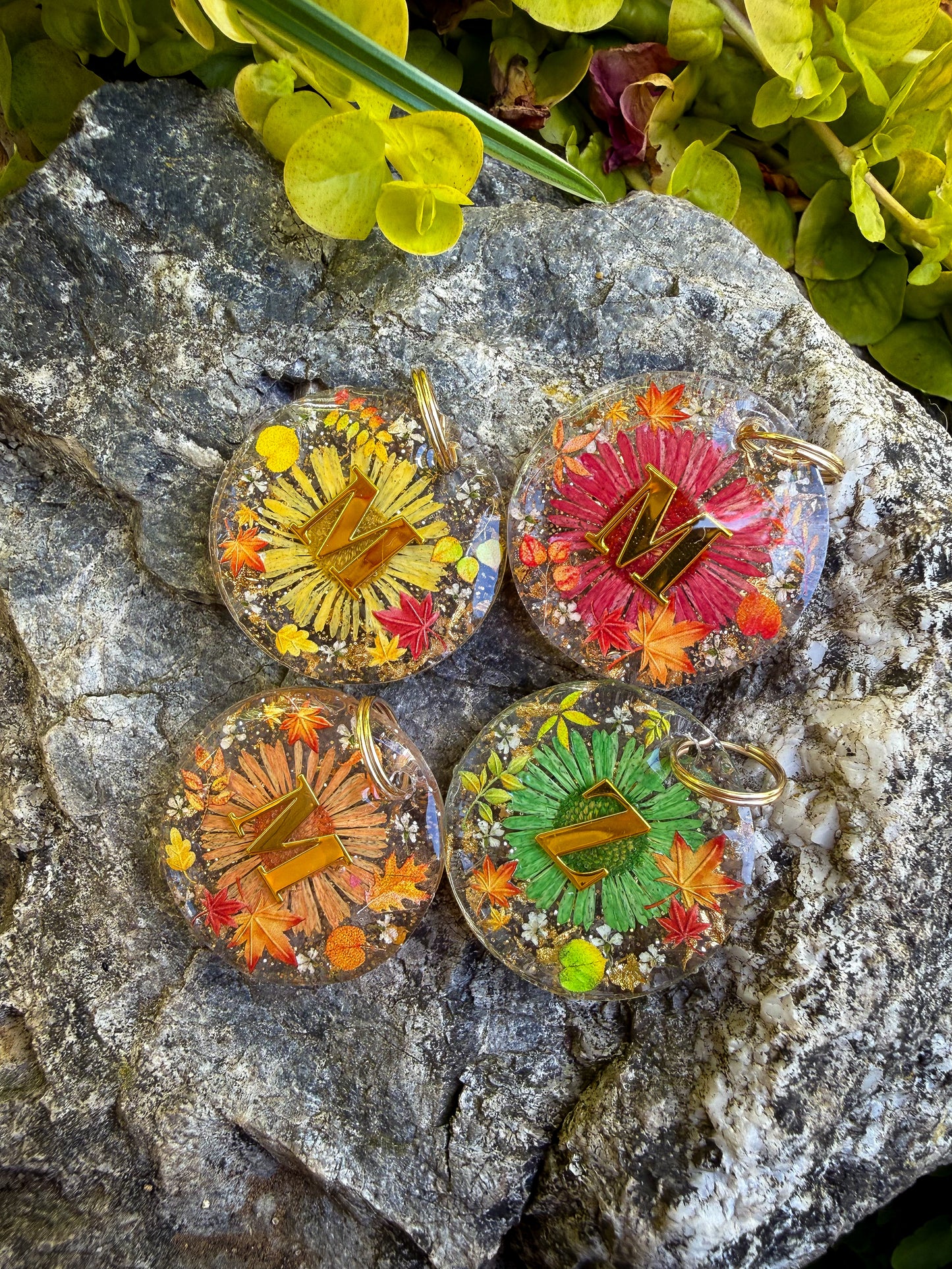 Harvest Blooms