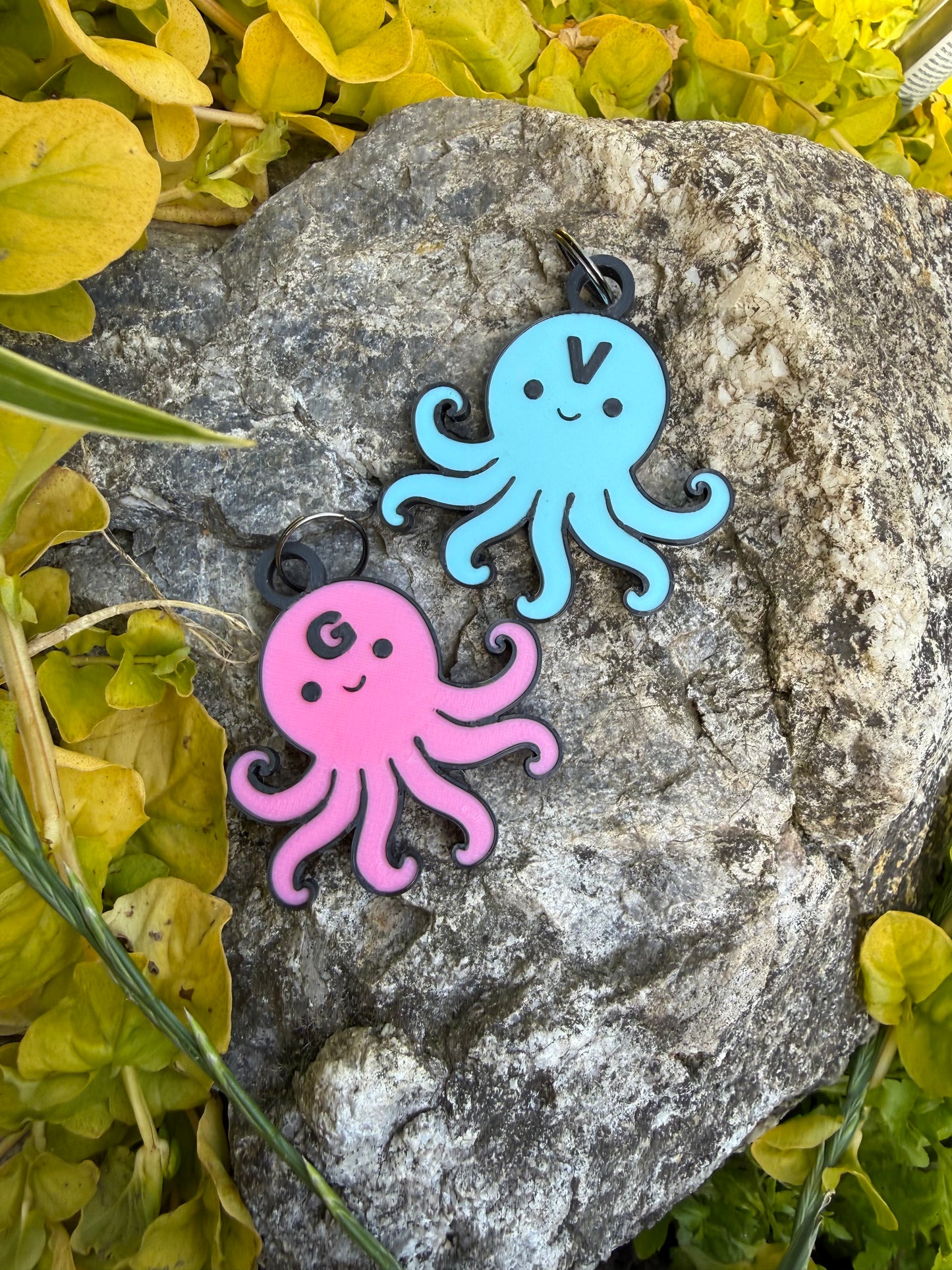 Octopus